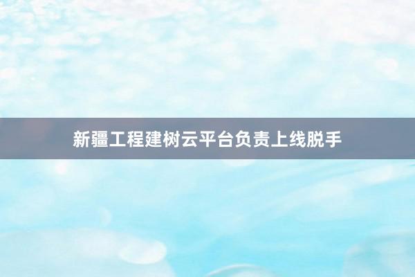新疆工程建树云平台负责上线脱手